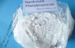 Nandrolone Phenylpropionate (Steroids)